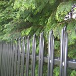 Black steel palisade fencing.