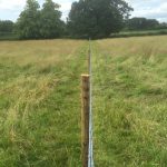 Post and wire fence stands in the middle of a field, it is used to house livestock or divide the area.