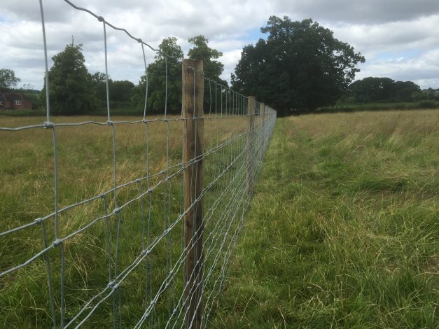 Post and Wire Fencing | Hodges & Lawrence Ltd