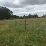 A post and wire fence divides a empty green field.