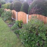 A wooden fence divides two gardens. The fence has close board panels and has trees and plants either side.
